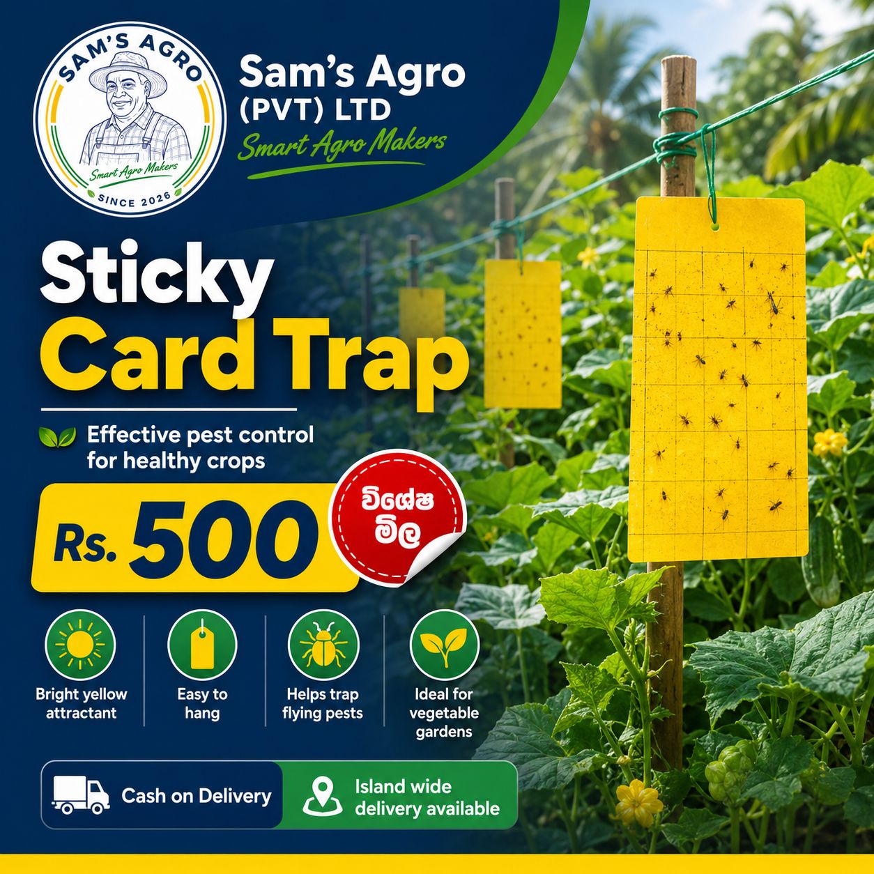 insects trap