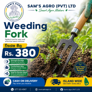 Sams Weeding Fork