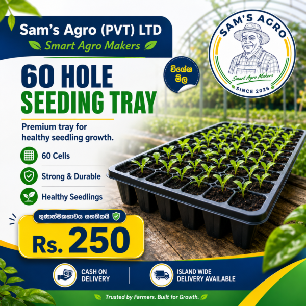 60 Hole Seeding Tray